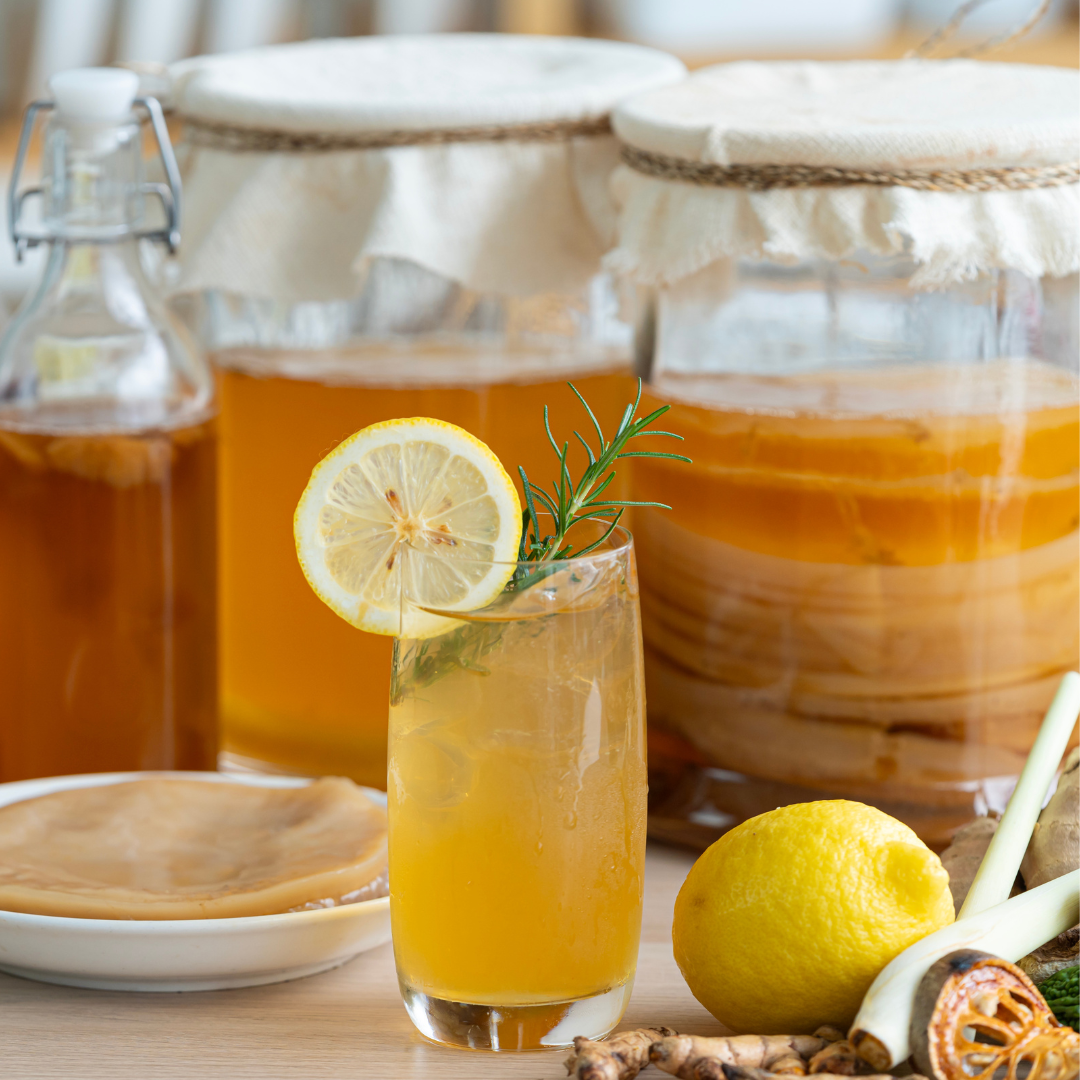 Kombucha : Bienfaits de cette boisson riche en probiotiques naturels